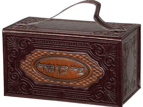 קופסא לאתרוג מהודרת פייו עם פלקטה 11X19X11 ס"מ