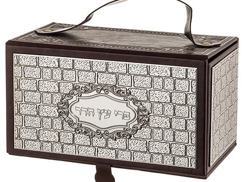 קופסא לאתרוג מהודרת פייו עם פלקטה 11X19X11 ס"מ