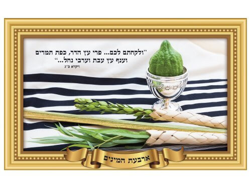 פלקט תלת מימד 68/45 ס"מ ארבעת המינים 1003273