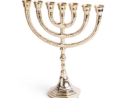 מנורה גימור ניקל 24 ס"מ | Menora Nickel Finish 24 cm