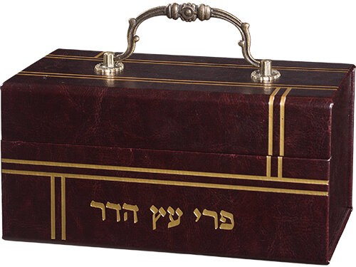 קופסת אתרוג דמוי עור עם ידית נשיאה מתכתית מעוקלת והטבעת פרי עץ הדר מוזהבת בחזית, מבט מהצד