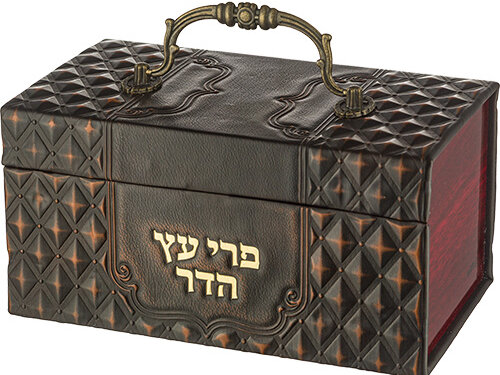 קופסת אתרוג דמוי עור בעיצוב מעוינים עם ידית מתכת מעוקלת וכיתוב פרי עץ הדר בחזית, במבט מהצד.