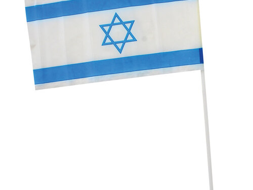 דגלוני בד על קשית 21X14 ס"מ 40127