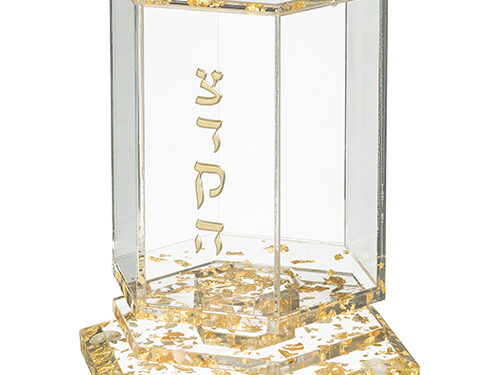 קופת צדקה אקריליק מהודרת גוון זהב 8*12 ס"מ | Acrilic Tzedakah box 12*8 cm