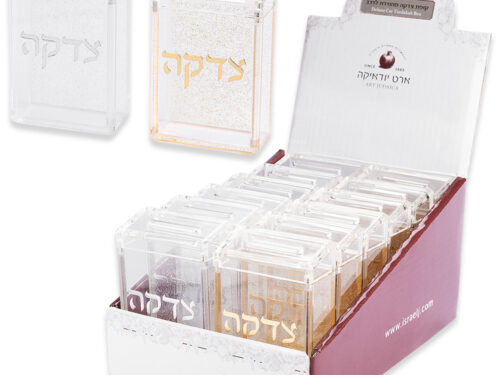 סטנד קופות צדקה אקריליק לרכב 12 יח כסף וזהב | Display stand Car Money BOX 12 pcs