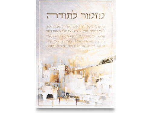 תמונת קנווס "אותיות בולטות" ירושלים מזמור לתודה 35X25 ס"מ